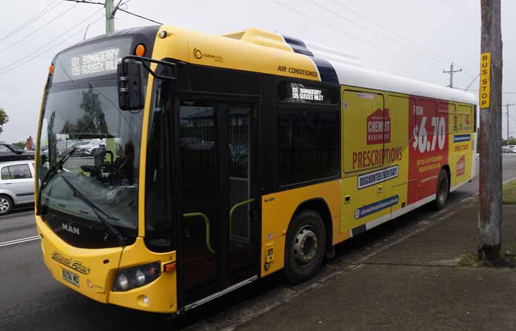 Shoal Bus MAN 19.320 Custom CB80 8256MO